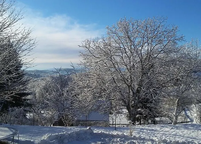 多尔夫沃特酒店 招待所